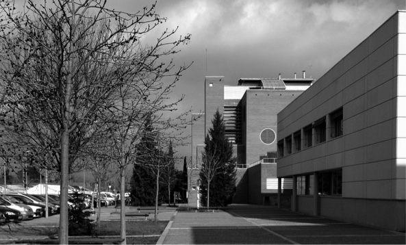 Ingeniero Agrónomo por la Universitat de Lleida