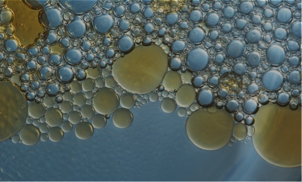 Antioxidant properties of aqueous and ethanolic extracts of tara (Caesalpinia spinosa) pods in vitro and in model food emulsions.